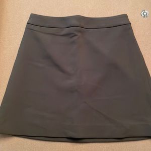 Express aline skirt